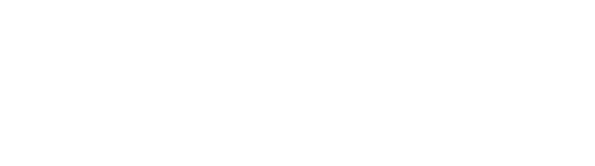 ArlonCutPilot Logo - white - transparent1
