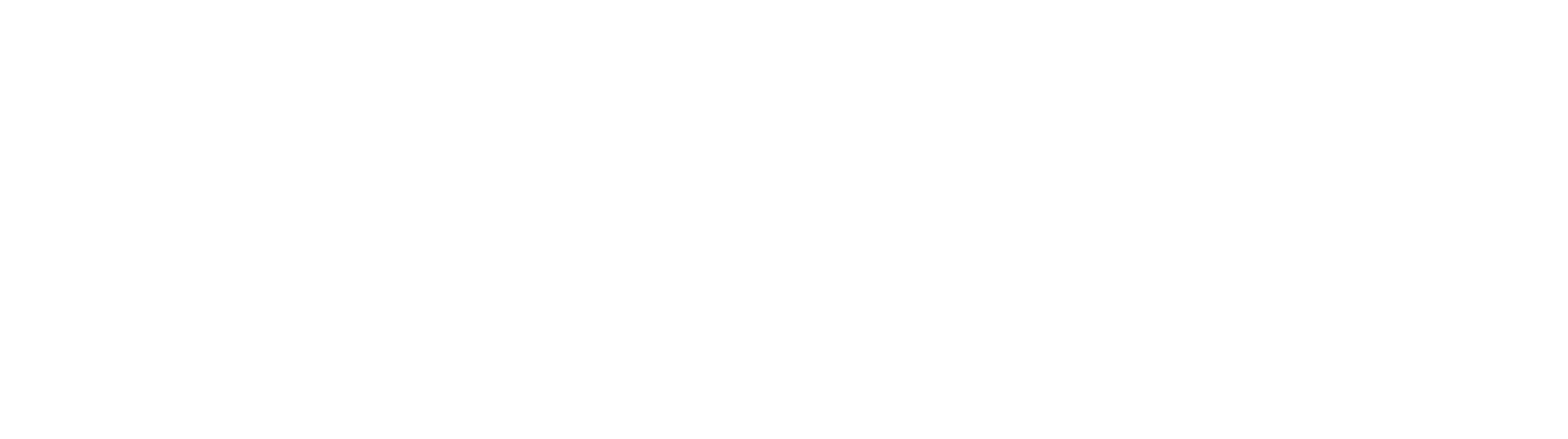ArlonCutPilot Logo - white - transparent1